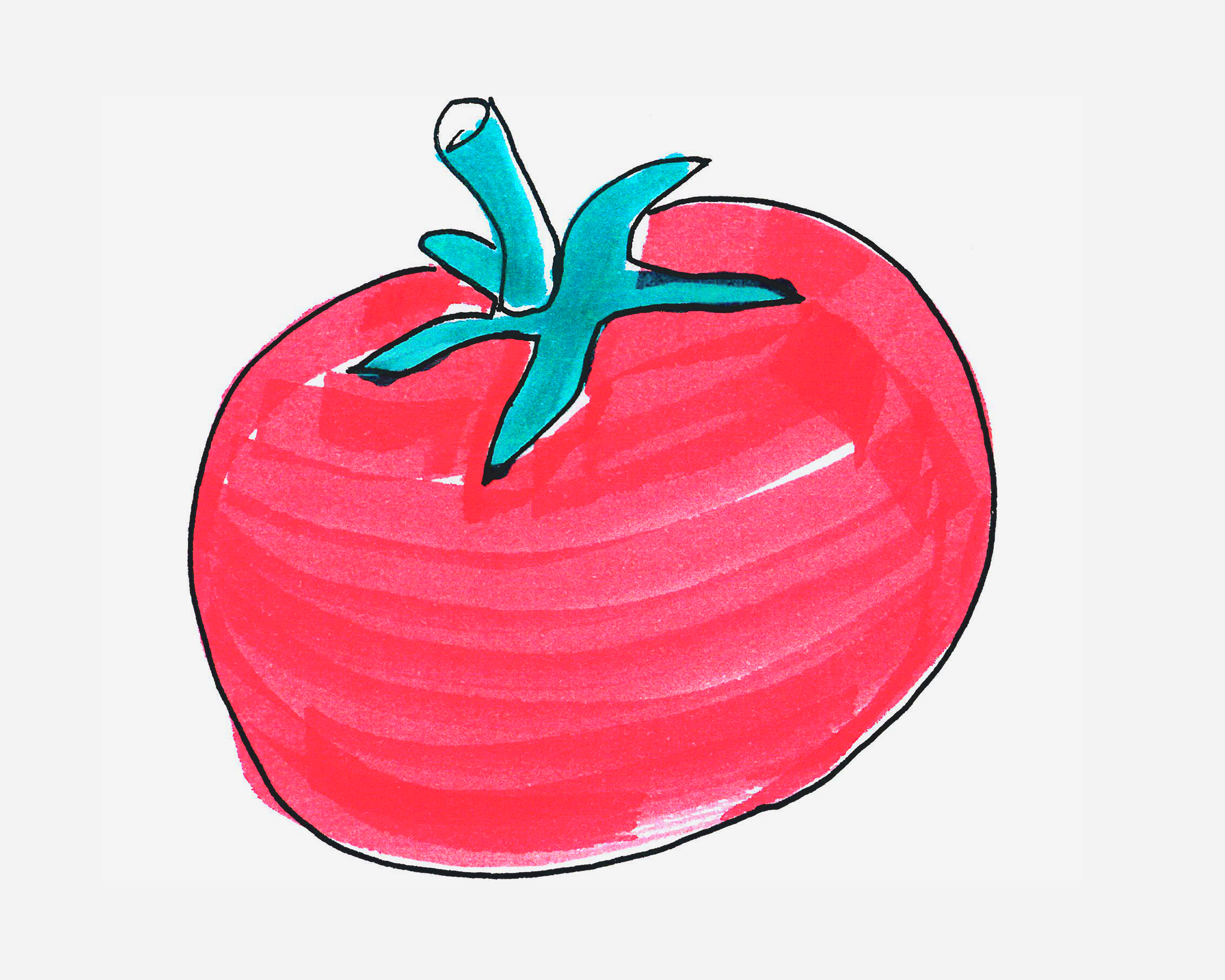 3-6岁儿童简笔画教程 带颜色西红柿怎么画好看