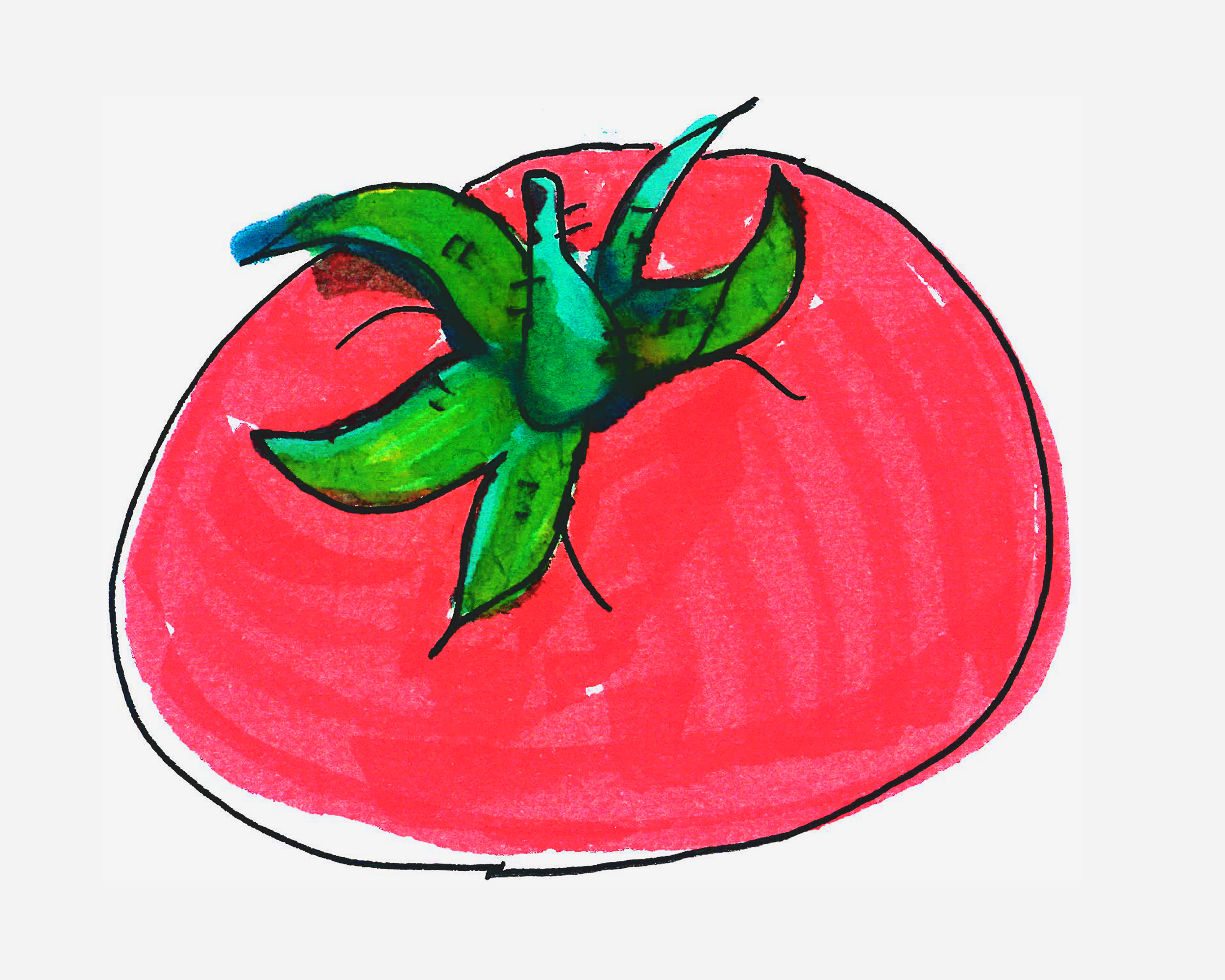 4-6岁简笔画作品 色彩西红柿怎么画好看