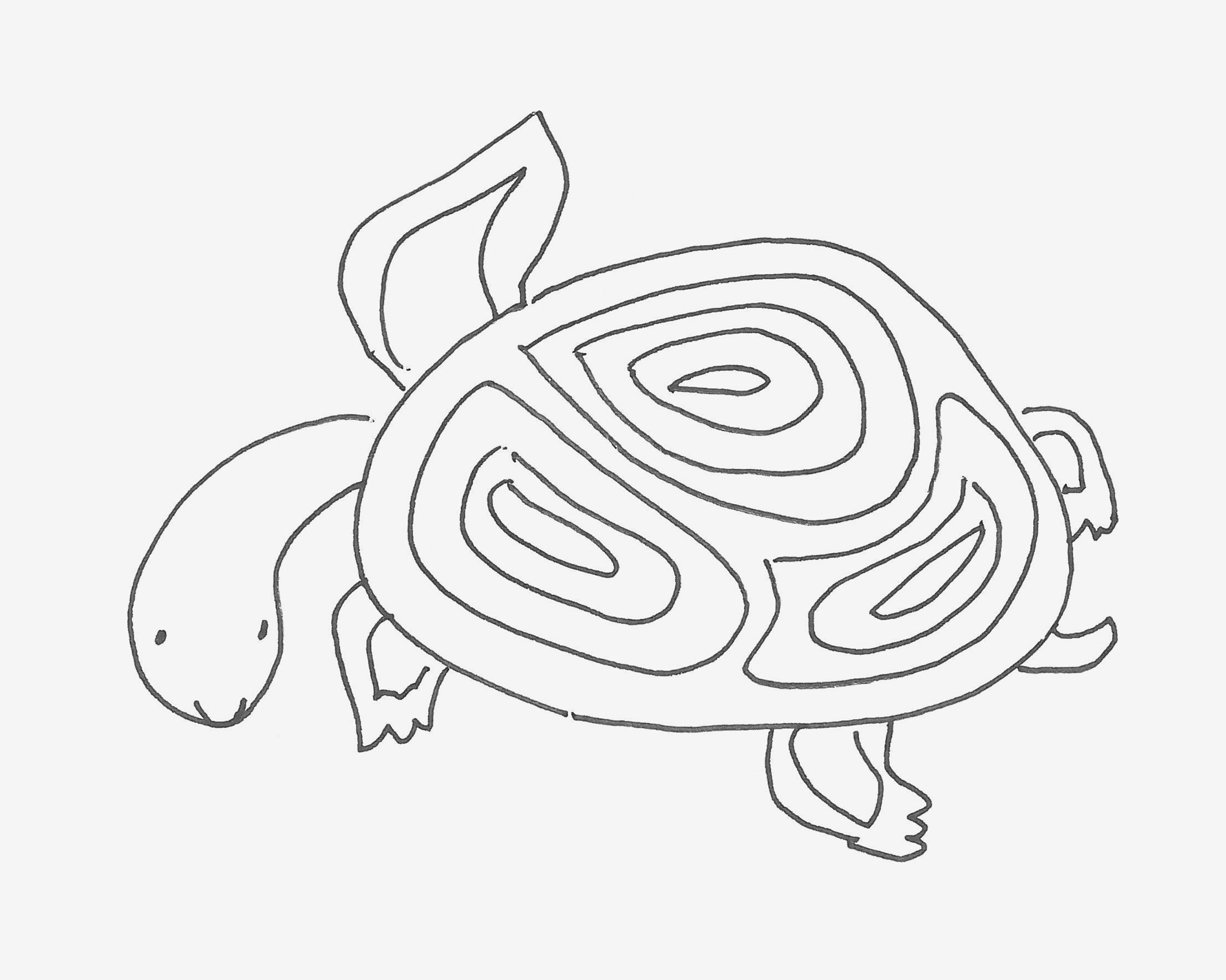 儿童3-6岁画画 创意简笔画海龟怎么画过程图