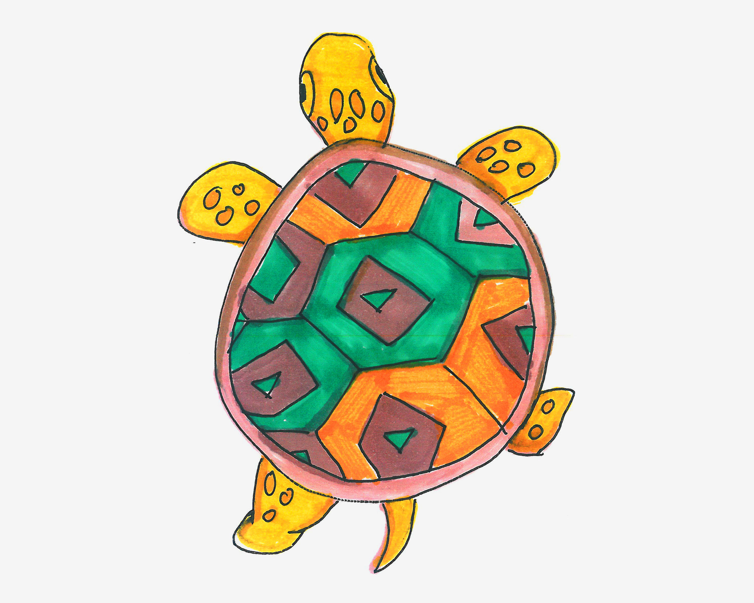 少儿3-6岁画画 可爱简笔画乌龟怎么画详细步骤