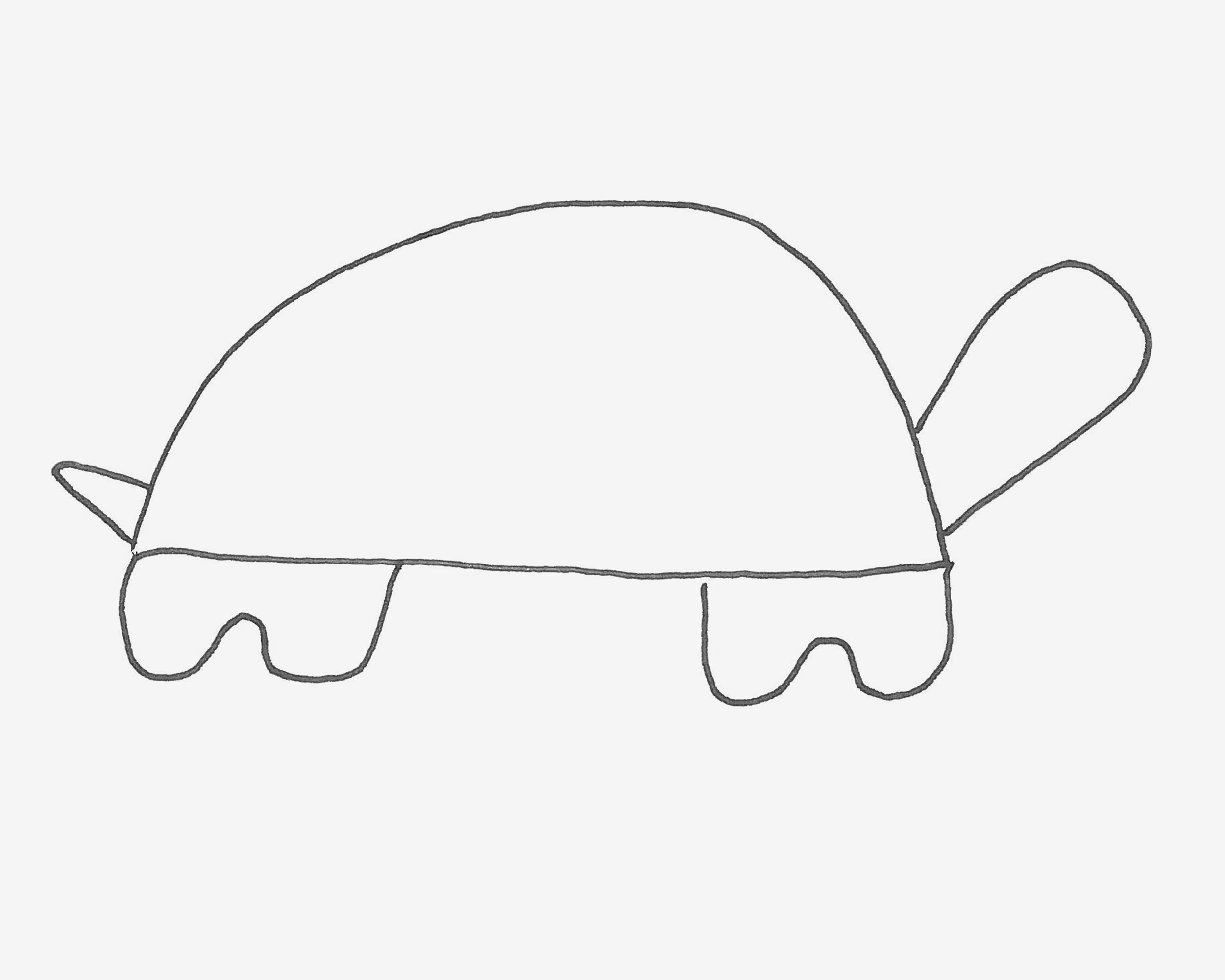 幼儿4～6岁画画 创意简笔画乌龟的画法