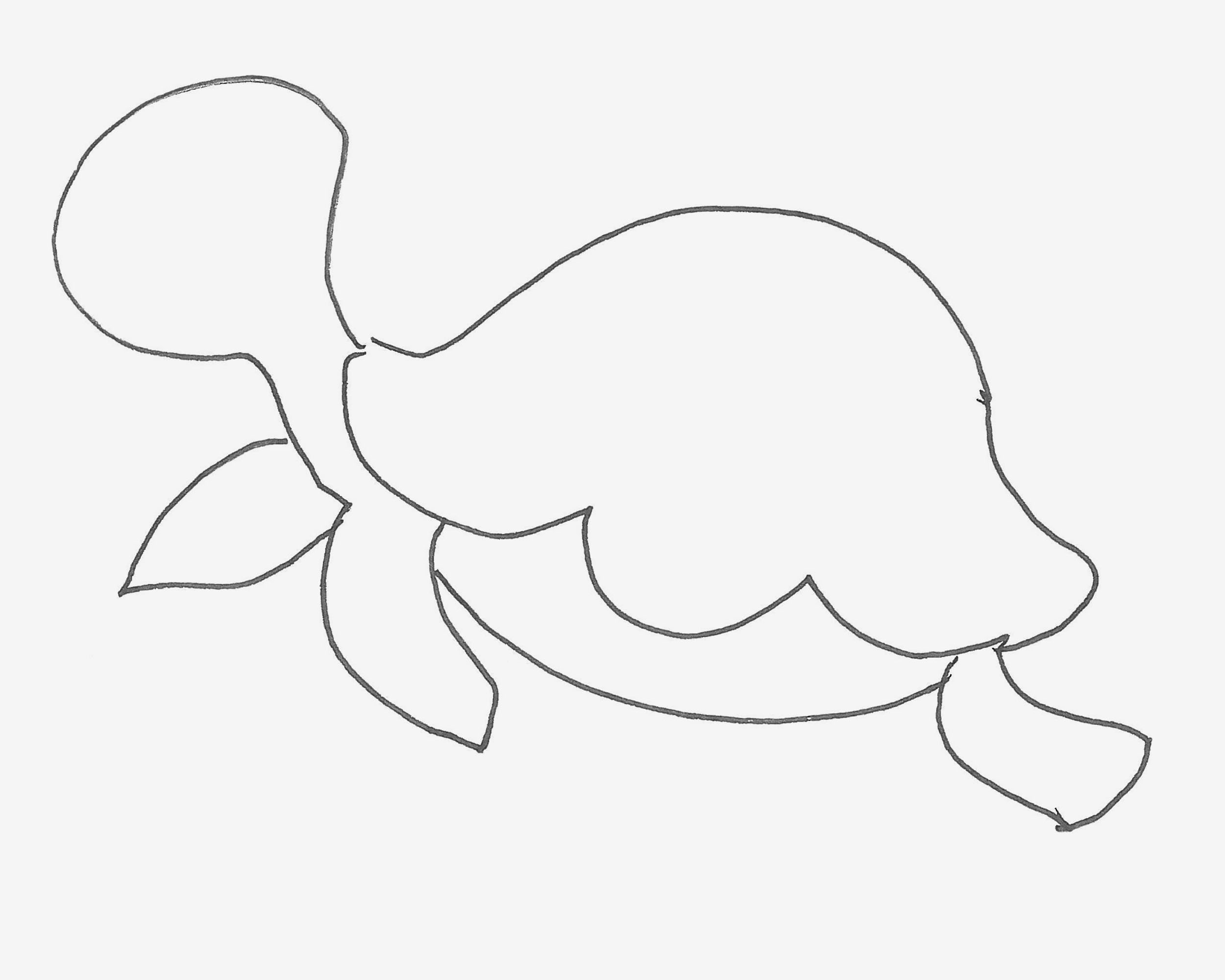儿童8一12岁画画 好看简笔画海龟怎么画图解教程