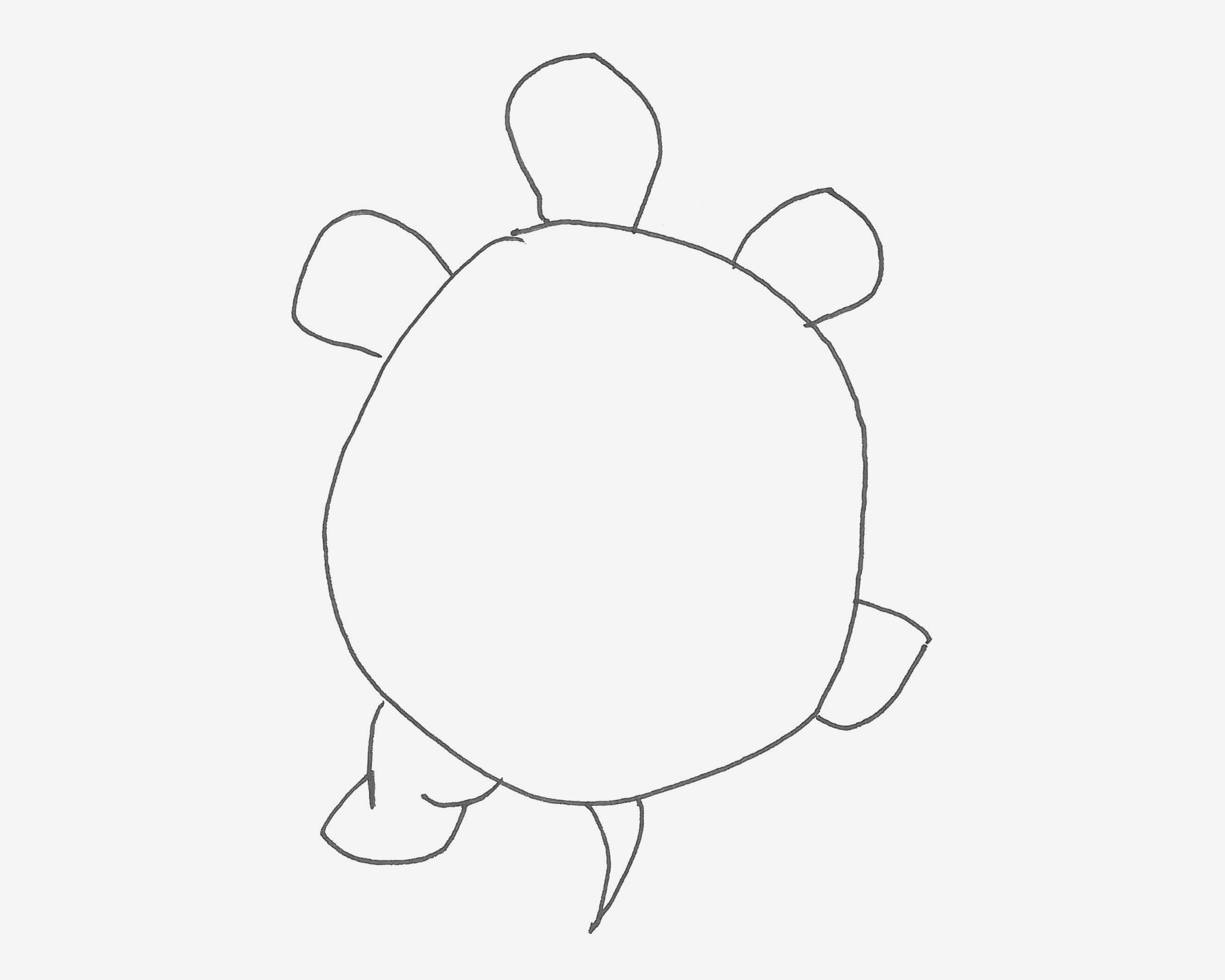 少儿3-6岁画画 可爱简笔画乌龟怎么画详细步骤