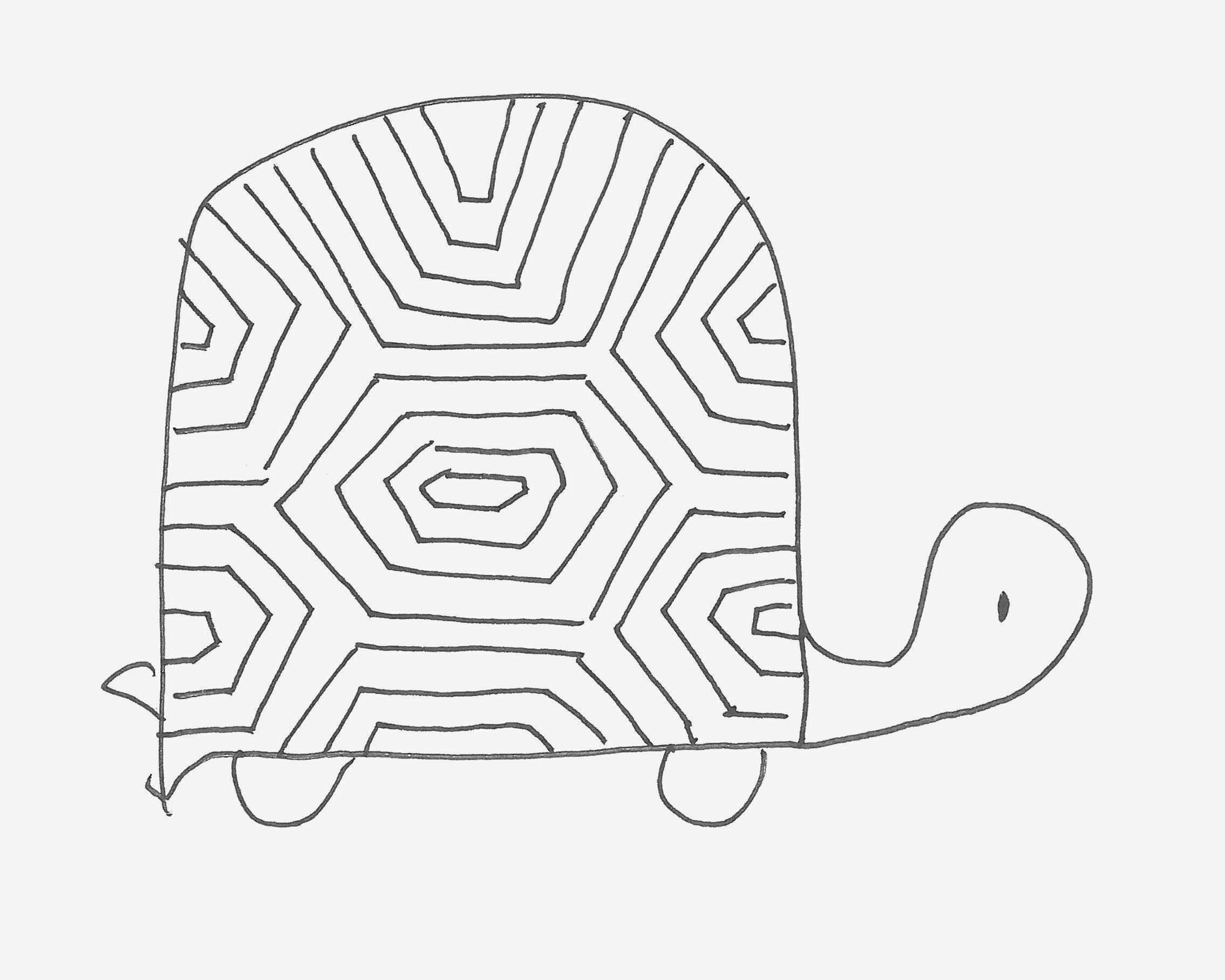 戴小花的卡通乌龟简笔画画法图片步骤