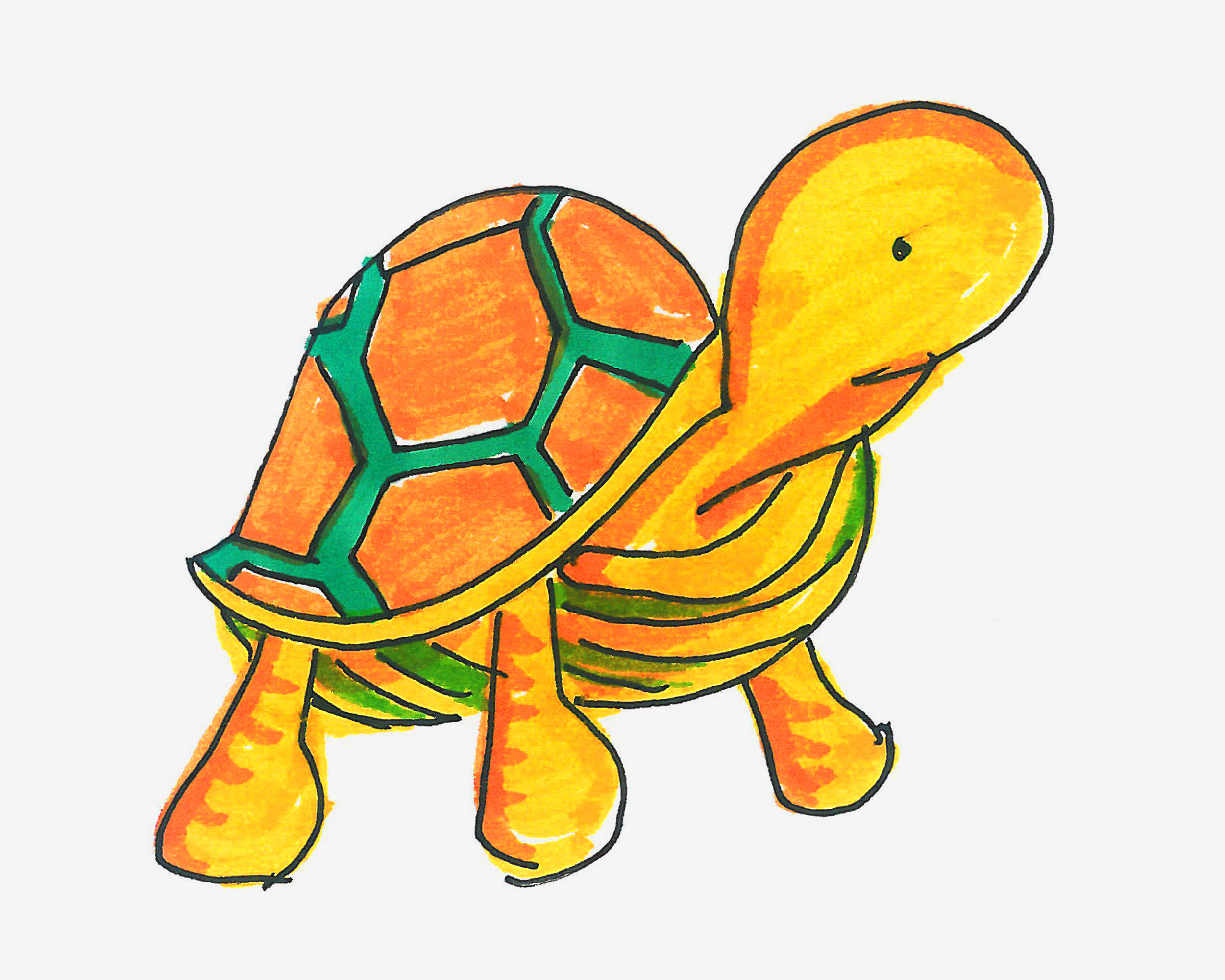动物涂色简笔画-儿童简笔画乌龟的画法图解教程 肉丁儿童网