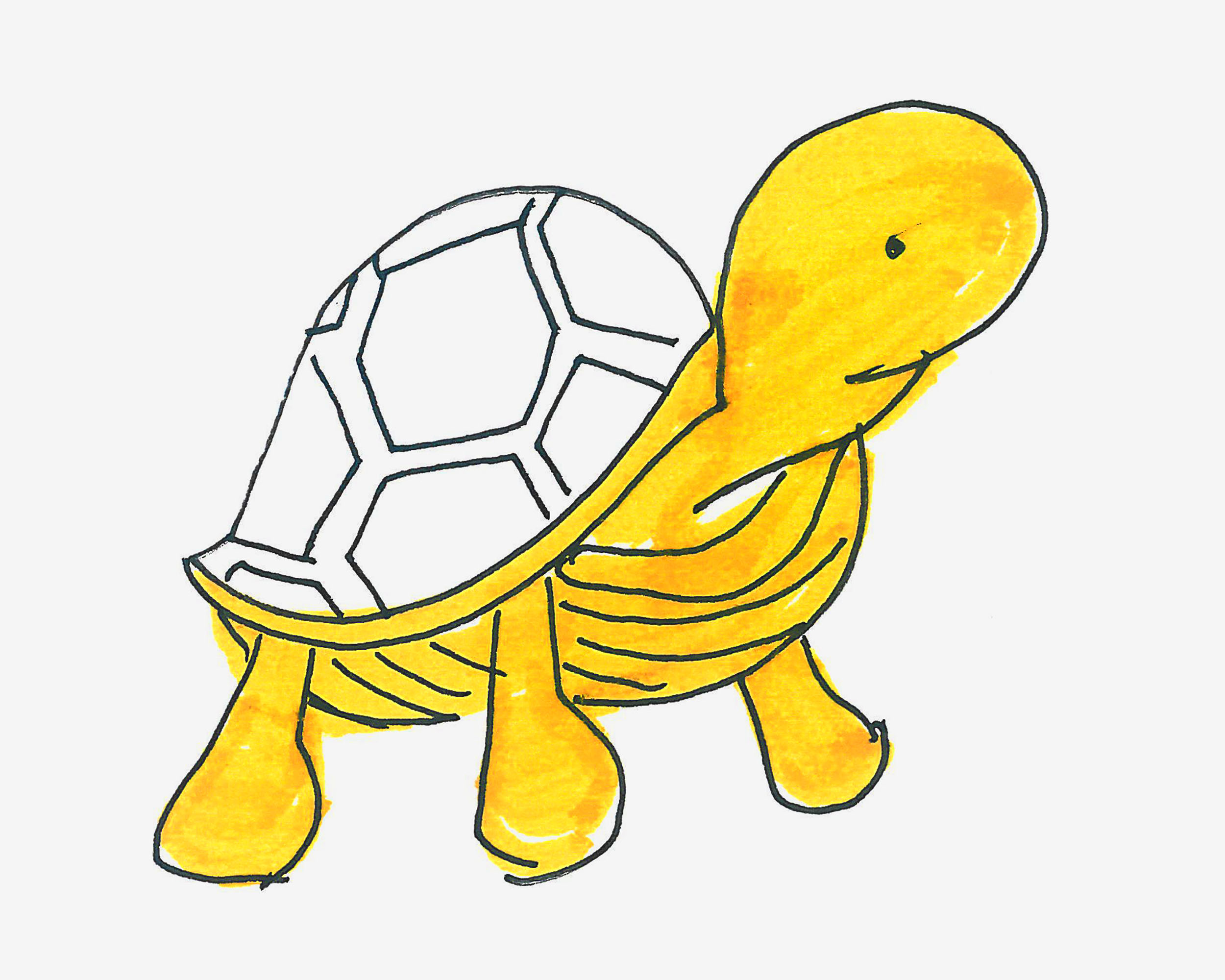 小乌龟|插画|儿童插画|wochaokeai - 临摹作品 - 站酷 (ZCOOL)
