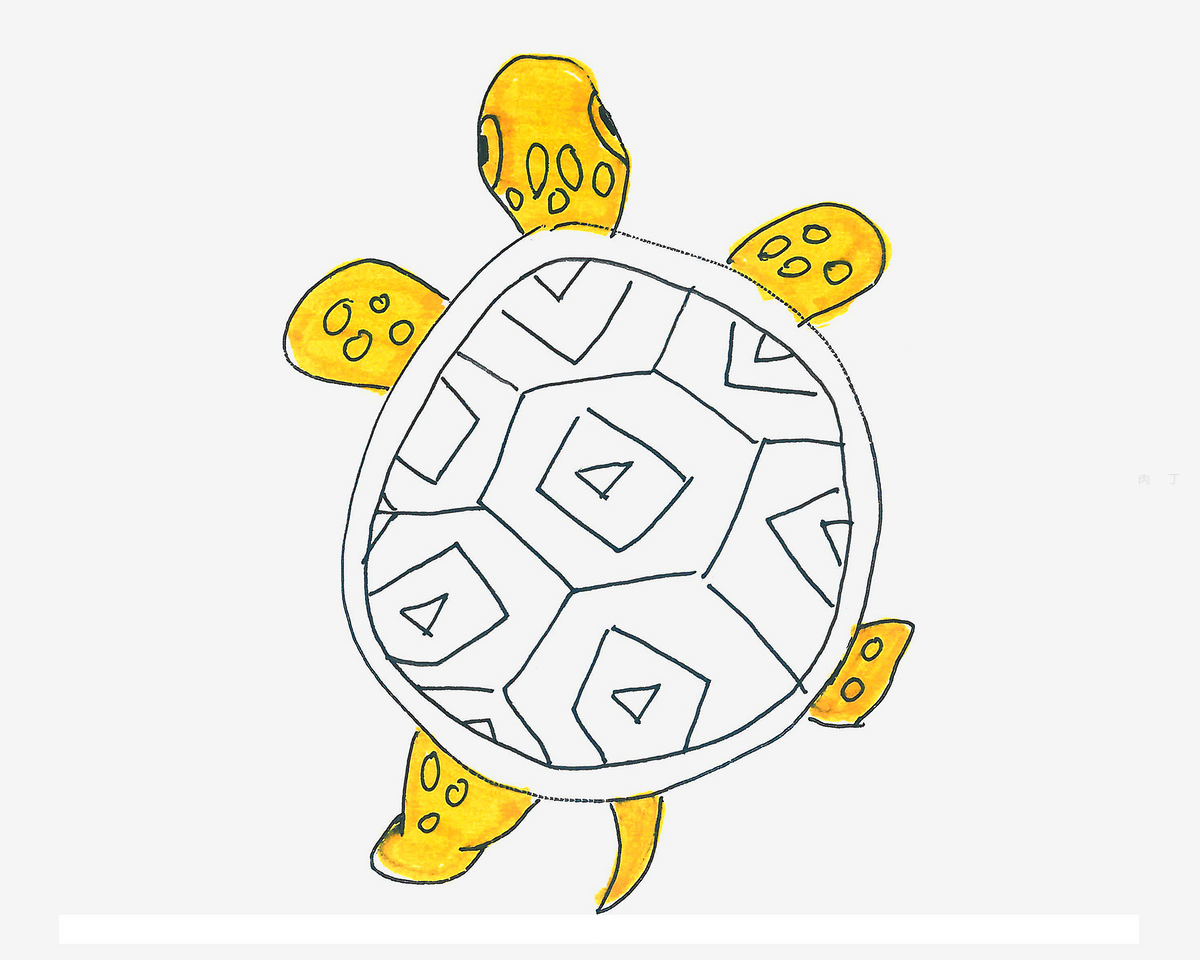 8一12岁美术 漂亮简笔画乌龟的画法详细步骤（小学生简笔画大全） - 有点网 - 好手艺