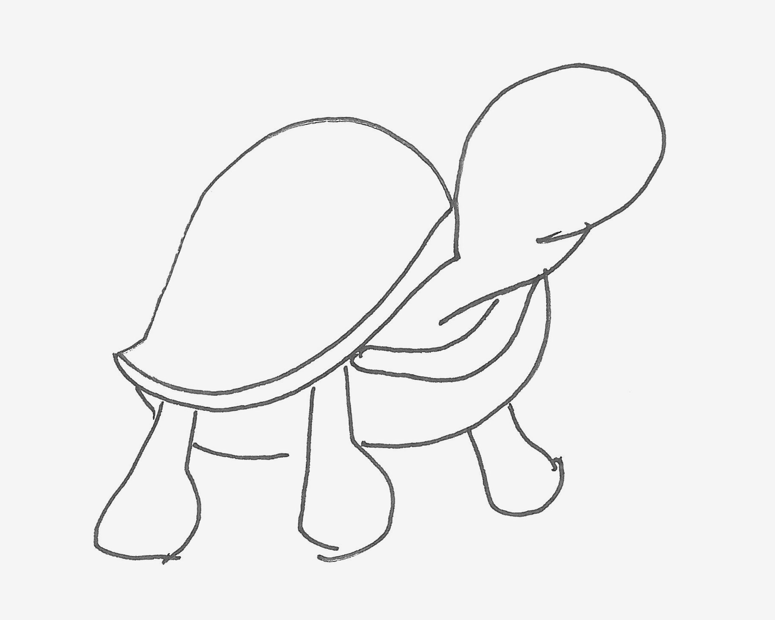 教你画 乌龟简笔画_海洋动物简笔画