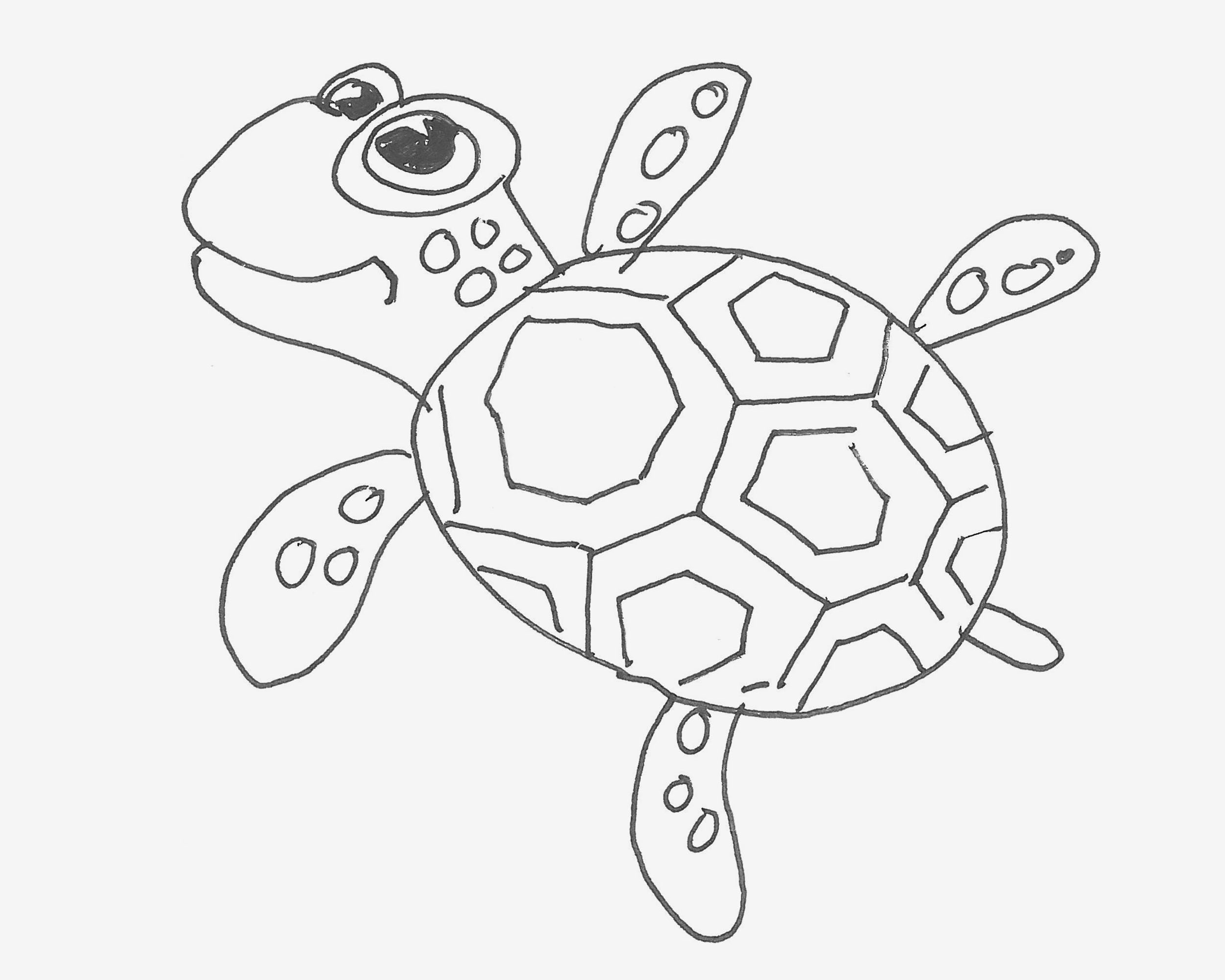 少儿1一9岁简笔画 好看简笔画海龟的画法详细步骤