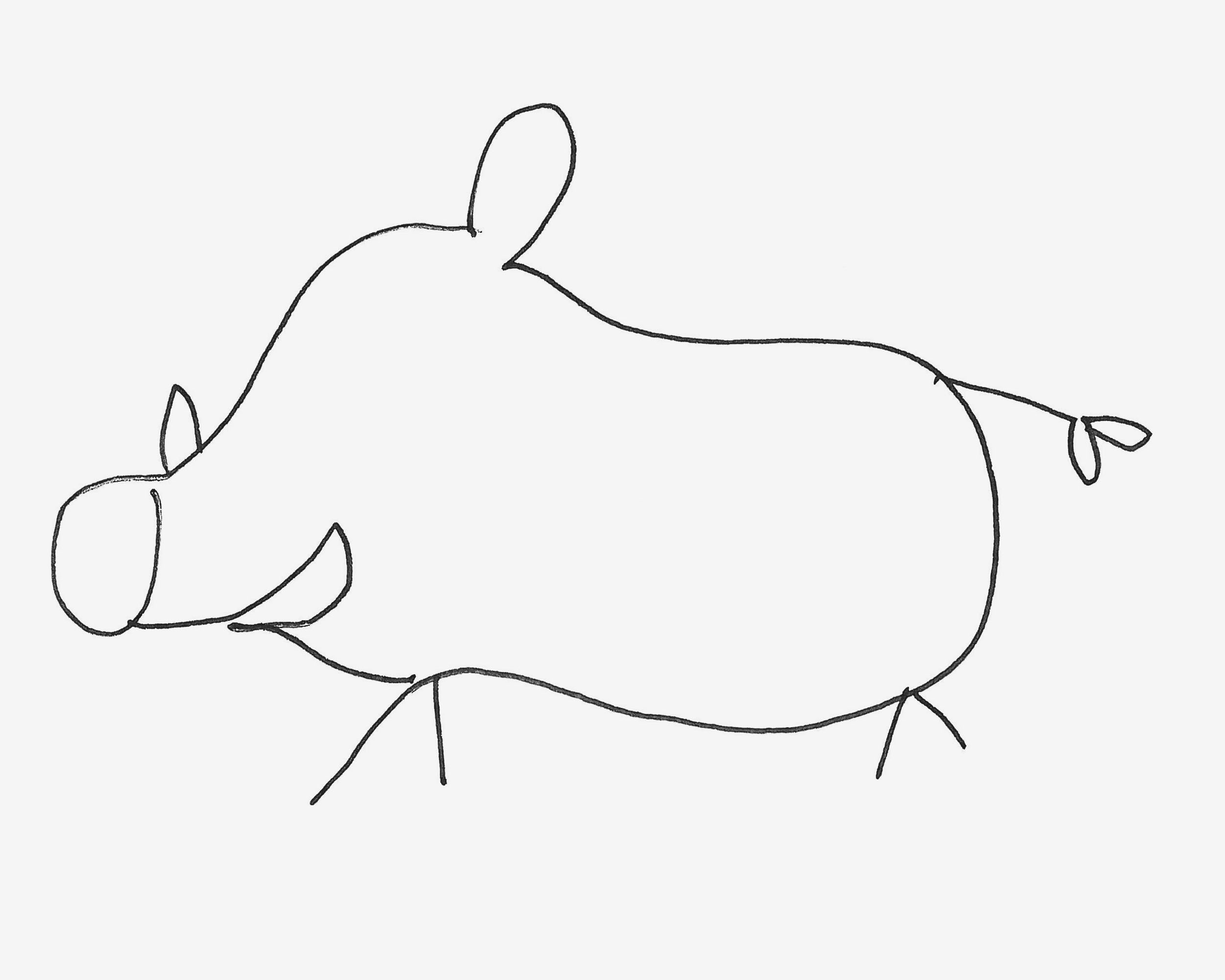 幼儿4～6岁美术 趣味简笔画野猪怎么画步骤