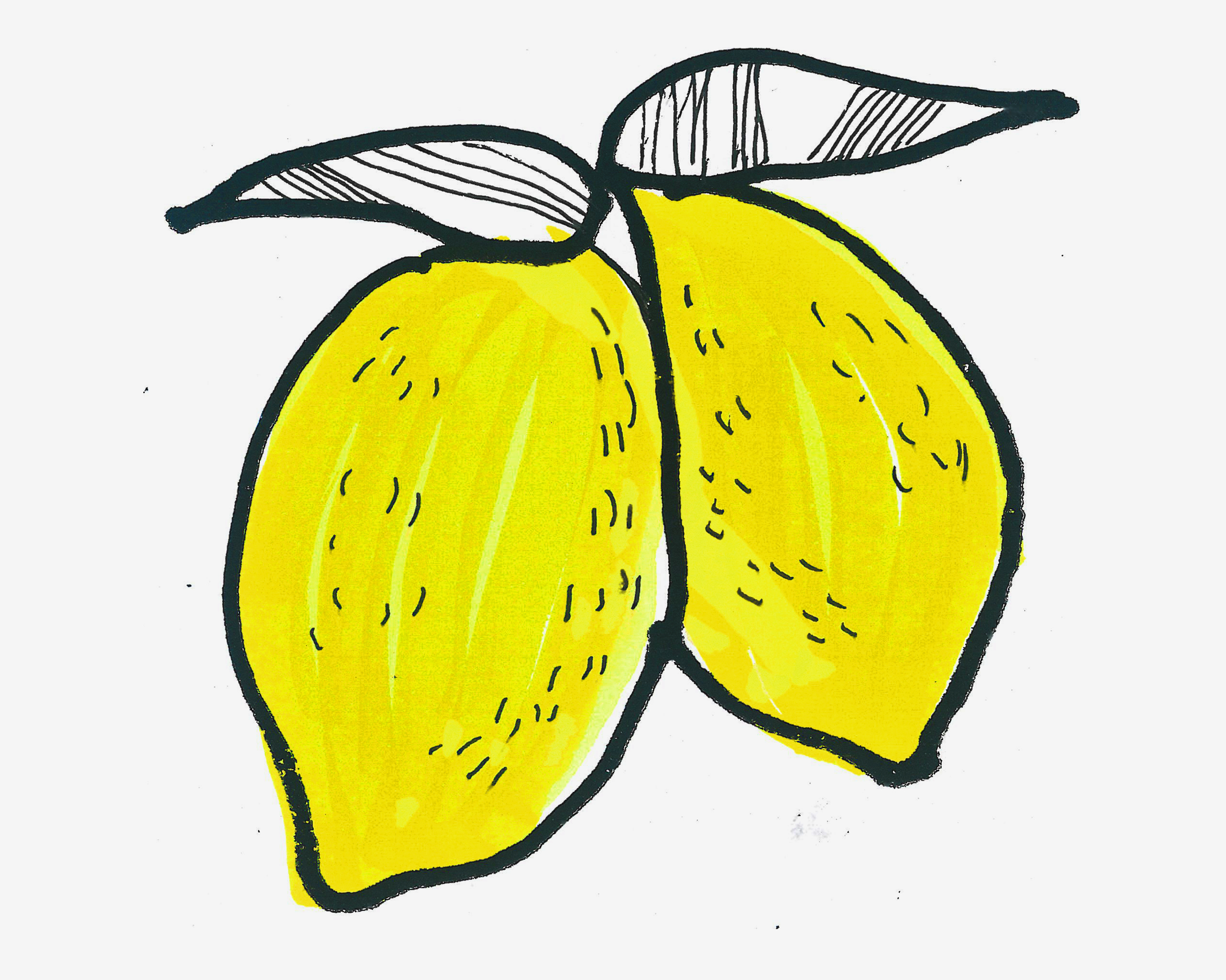 简单简笔画 可爱简笔画柠檬怎么画步骤（沸羊羊简笔画） - 有点网 - 好手艺