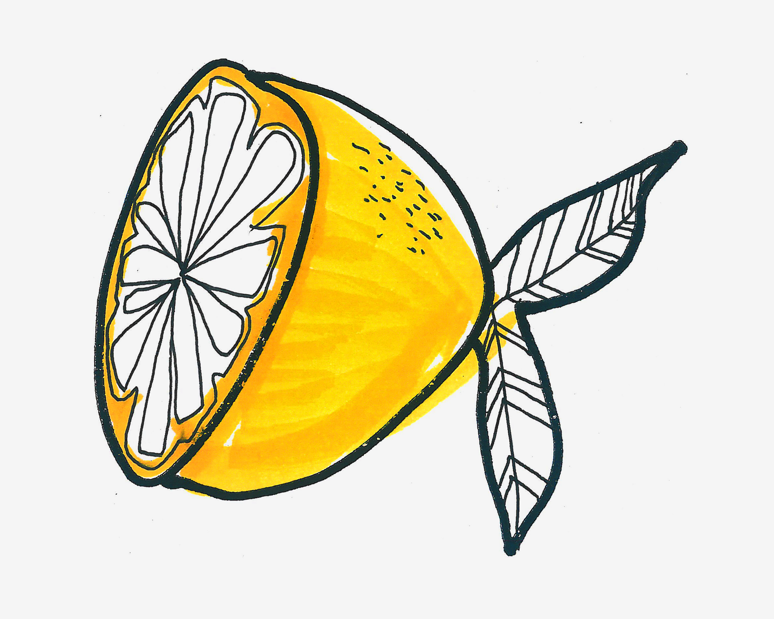 半个柠檬简笔画画法图片步骤💛巧艺网