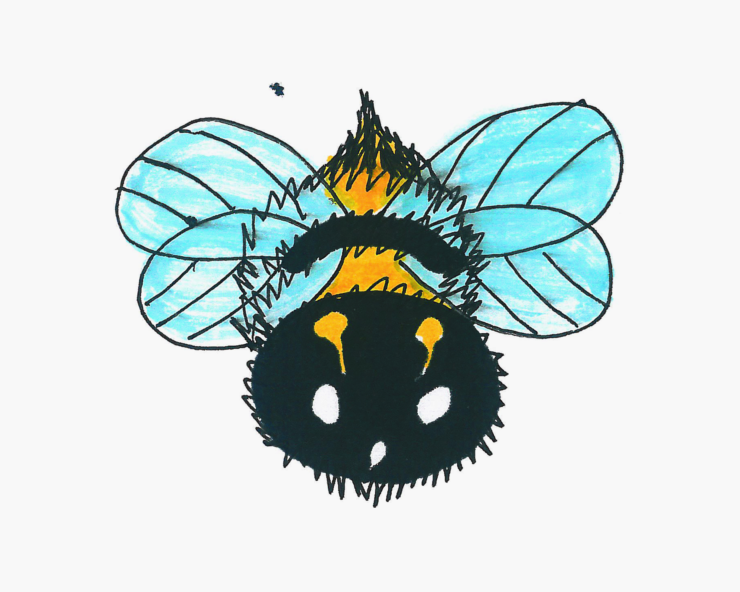 简单美术 创意简笔画蜜蜂怎么画详细步骤