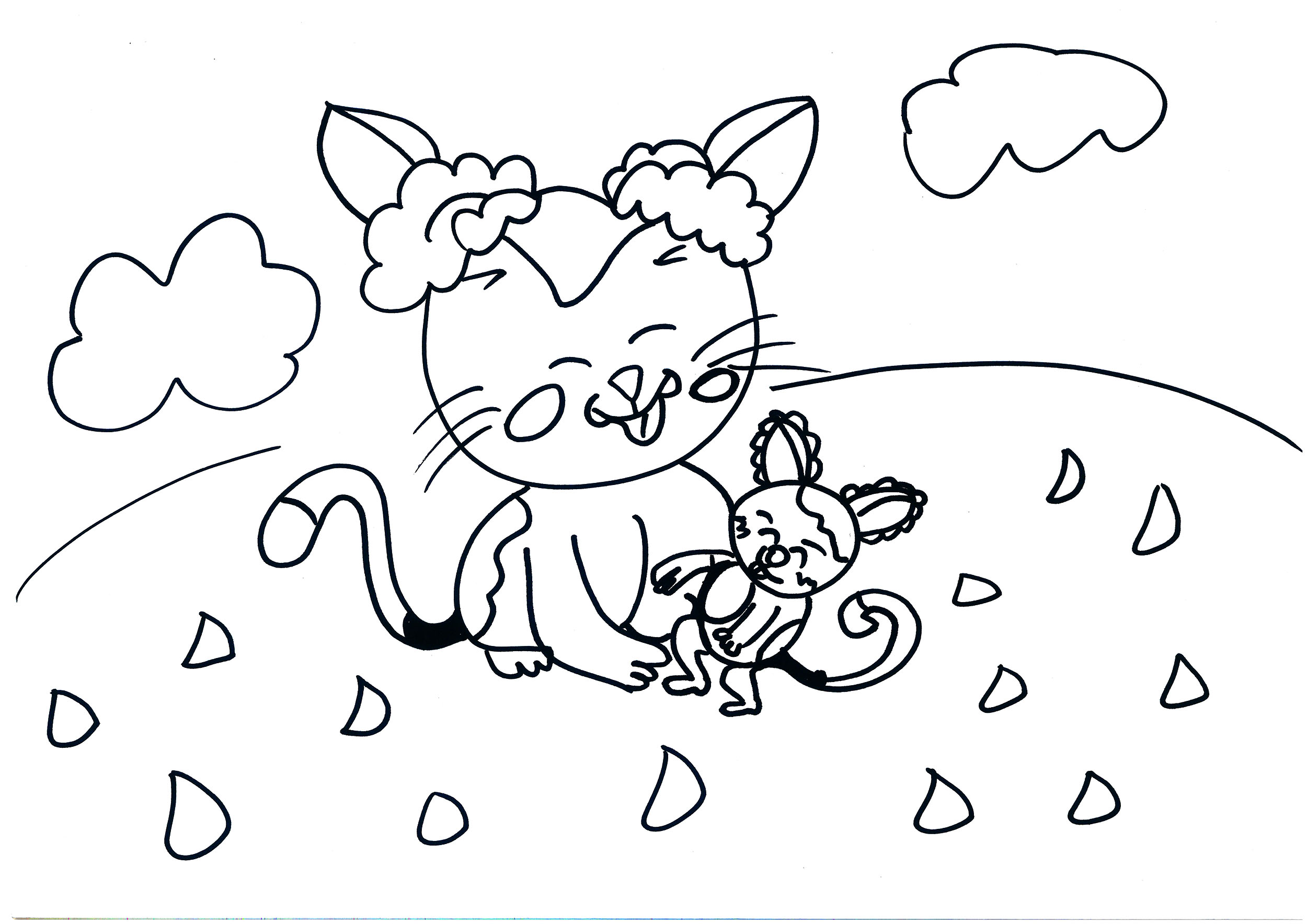 儿童画色彩小猫的画法 幼儿园简单可爱简笔画步骤图片 - 有点网 - 好手艺