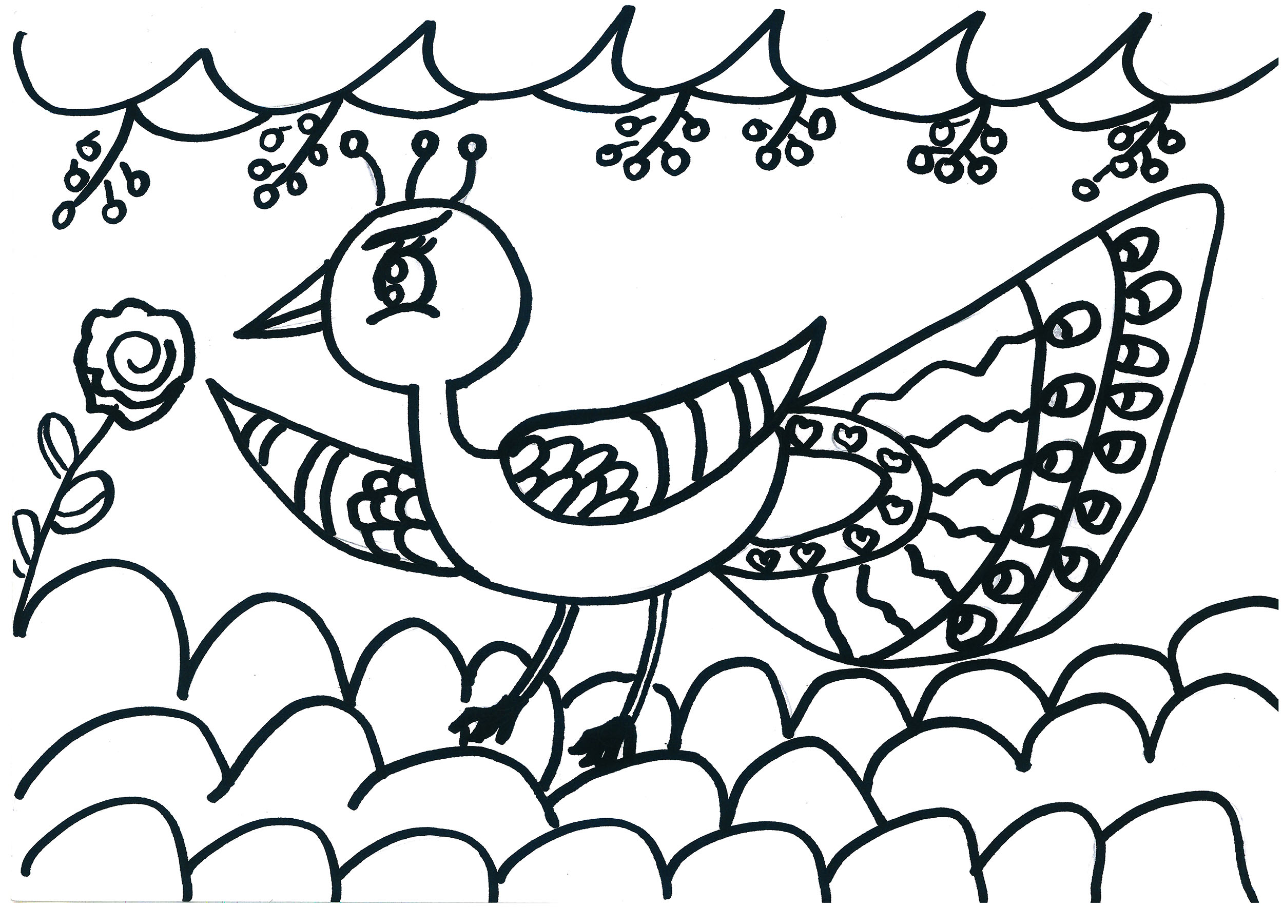 幼儿可打印简笔画填色画案例 简单孔雀的故事图片教程