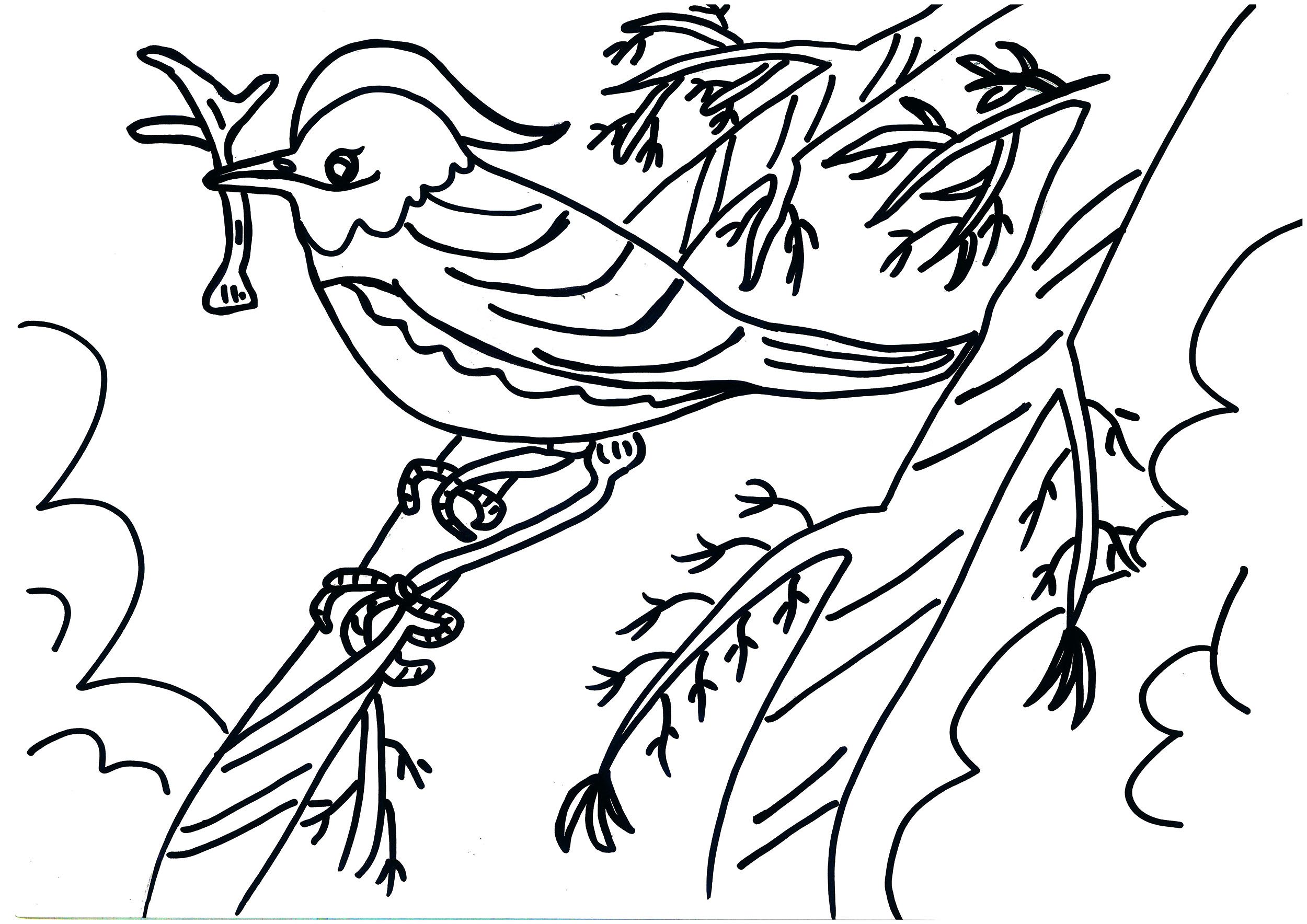 儿童可打印简笔画绘画案例 可爱小鸟的故事创意