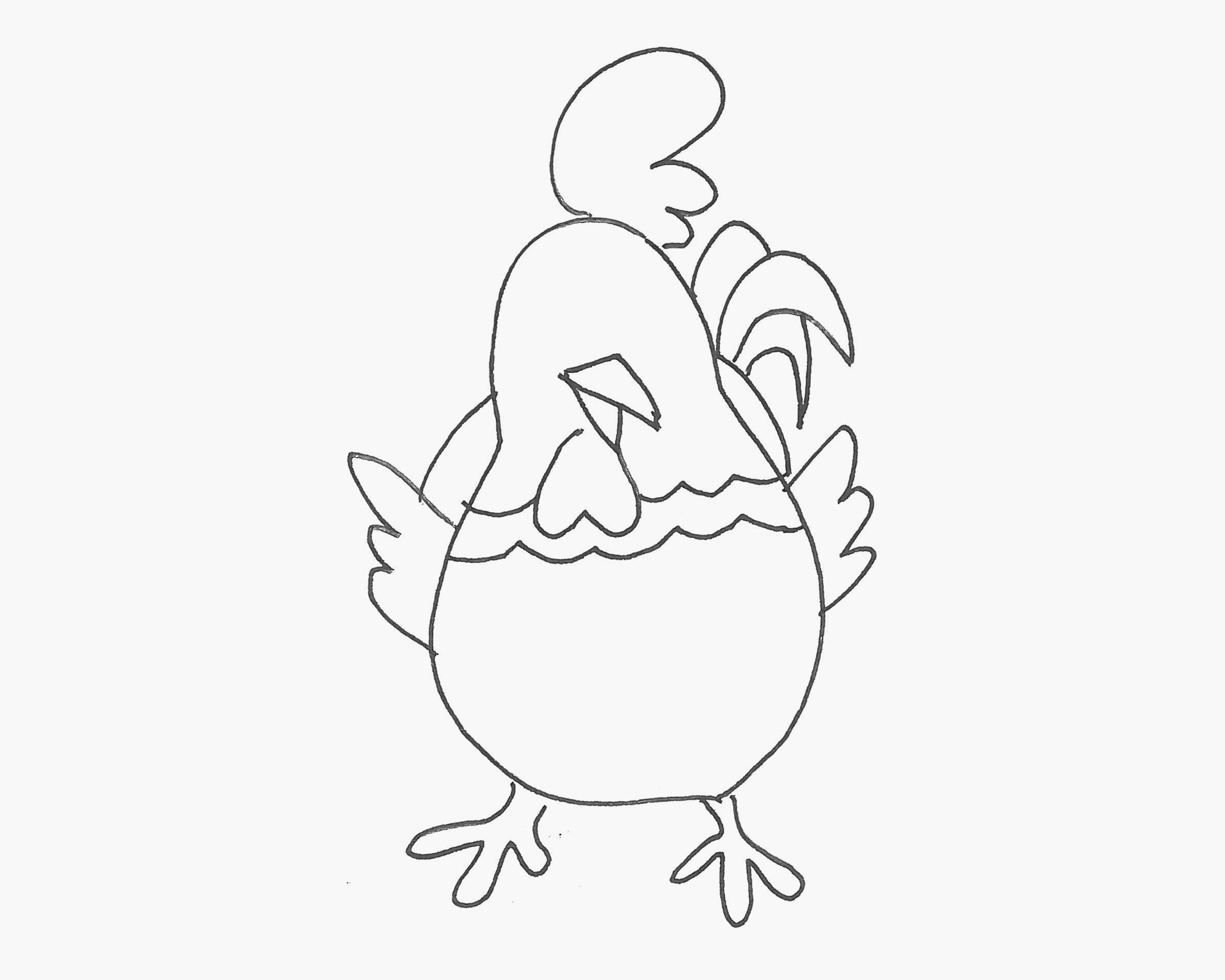 正面的母鸡简笔画画法图片步骤