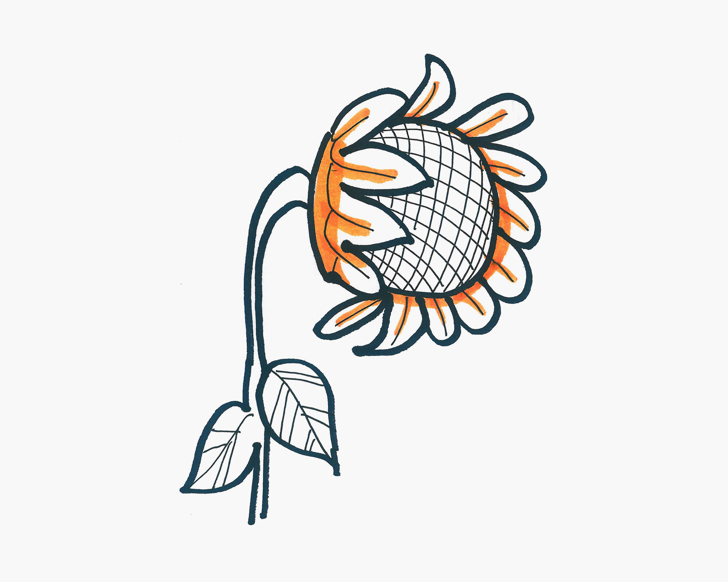 简单又漂亮植物涂色简笔画 简笔画向日葵的画法 肉丁儿童网
