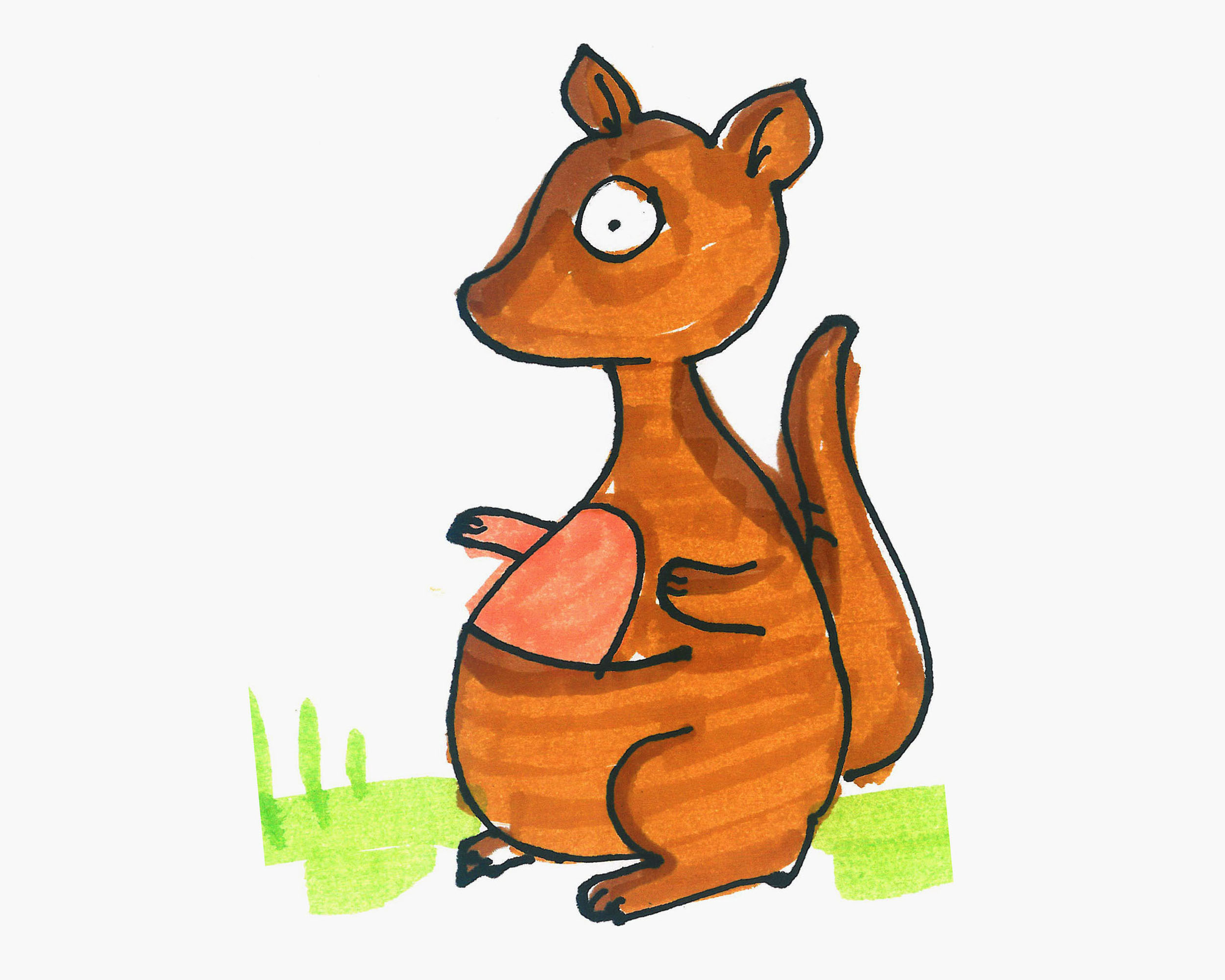 可爱袋鼠简笔画画法图片步骤