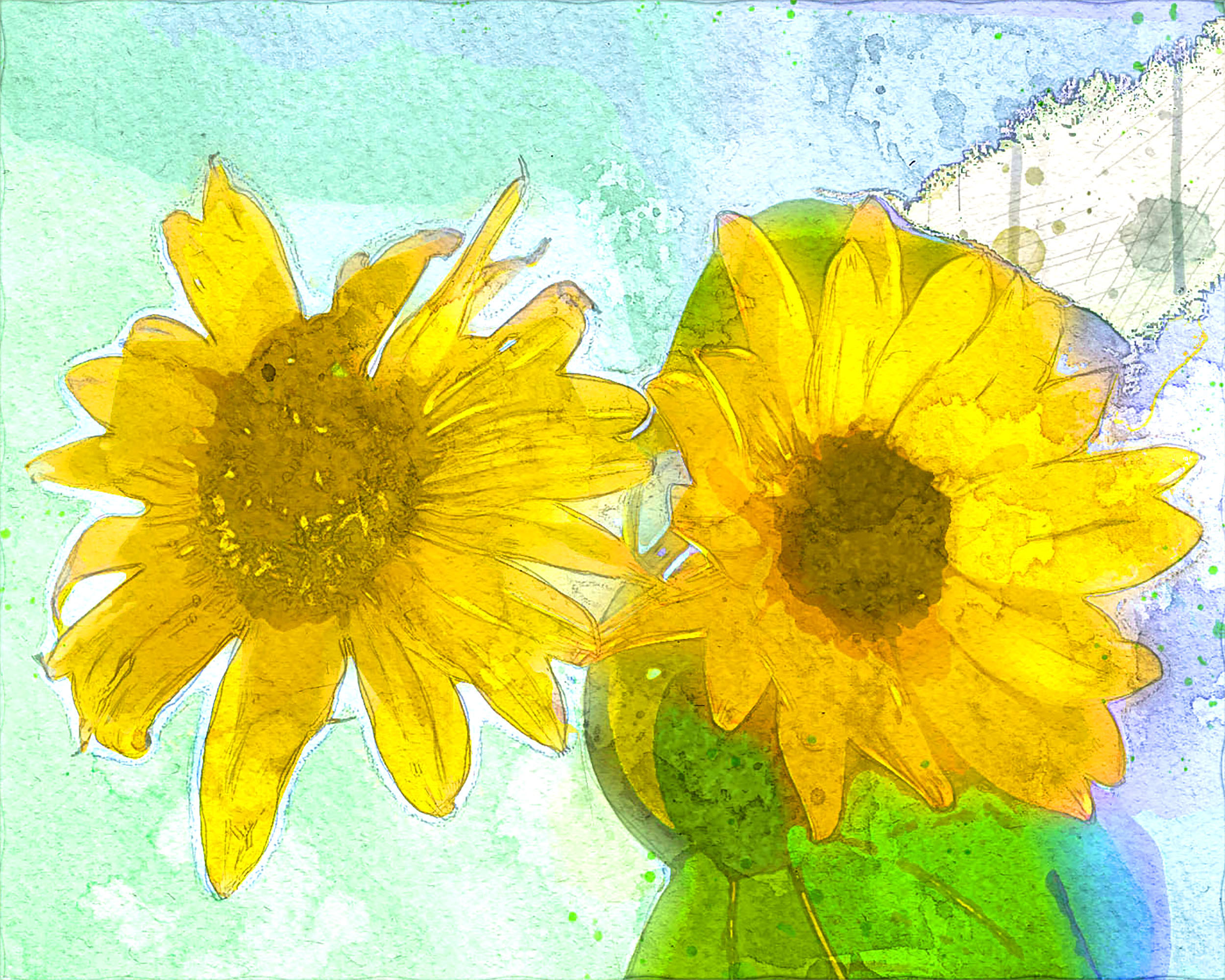 美丽的水彩艺术花朵 向日葵的画法教程