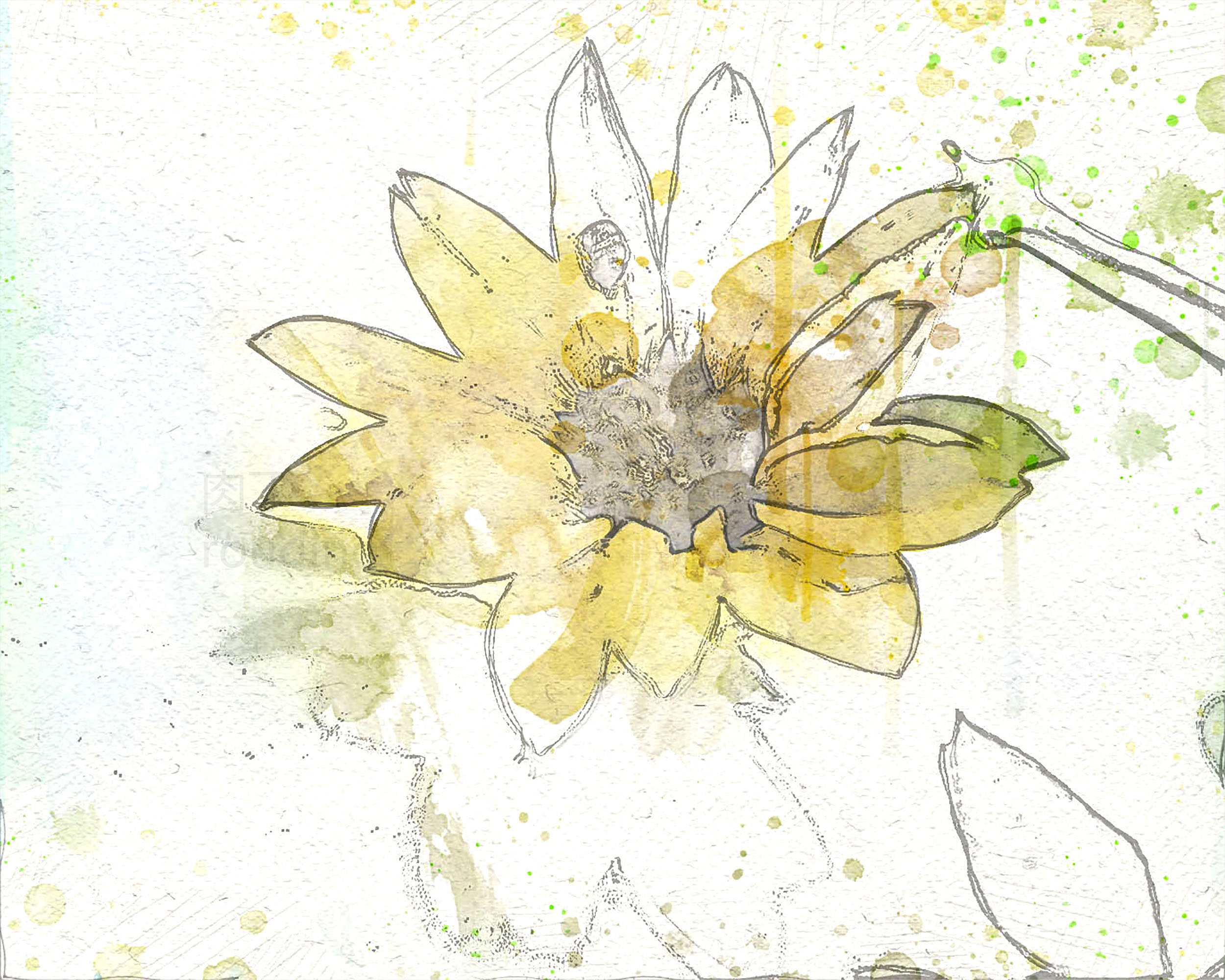 简单画画向日葵水彩基础作品高清图片