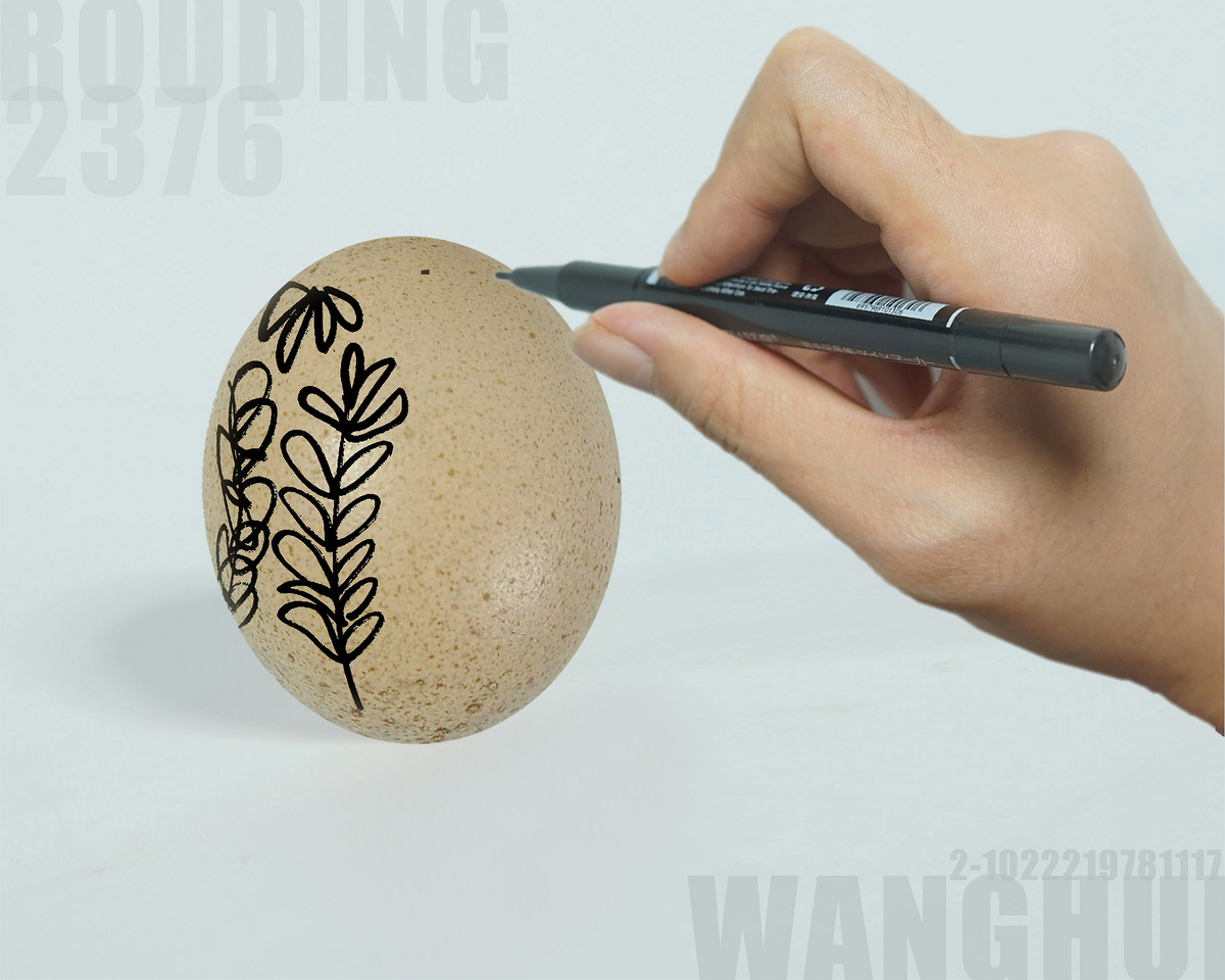 简单可爱鸡蛋绘画步骤画法图片💛巧艺网
