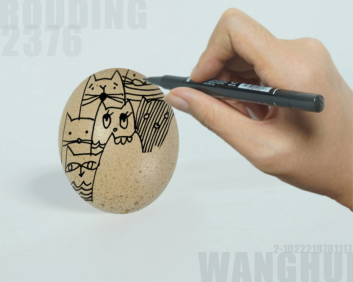 唯美鸡蛋绘画画法教程图片大全💛巧艺网