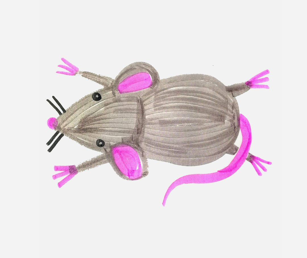 简单老鼠简笔画画法图片步骤