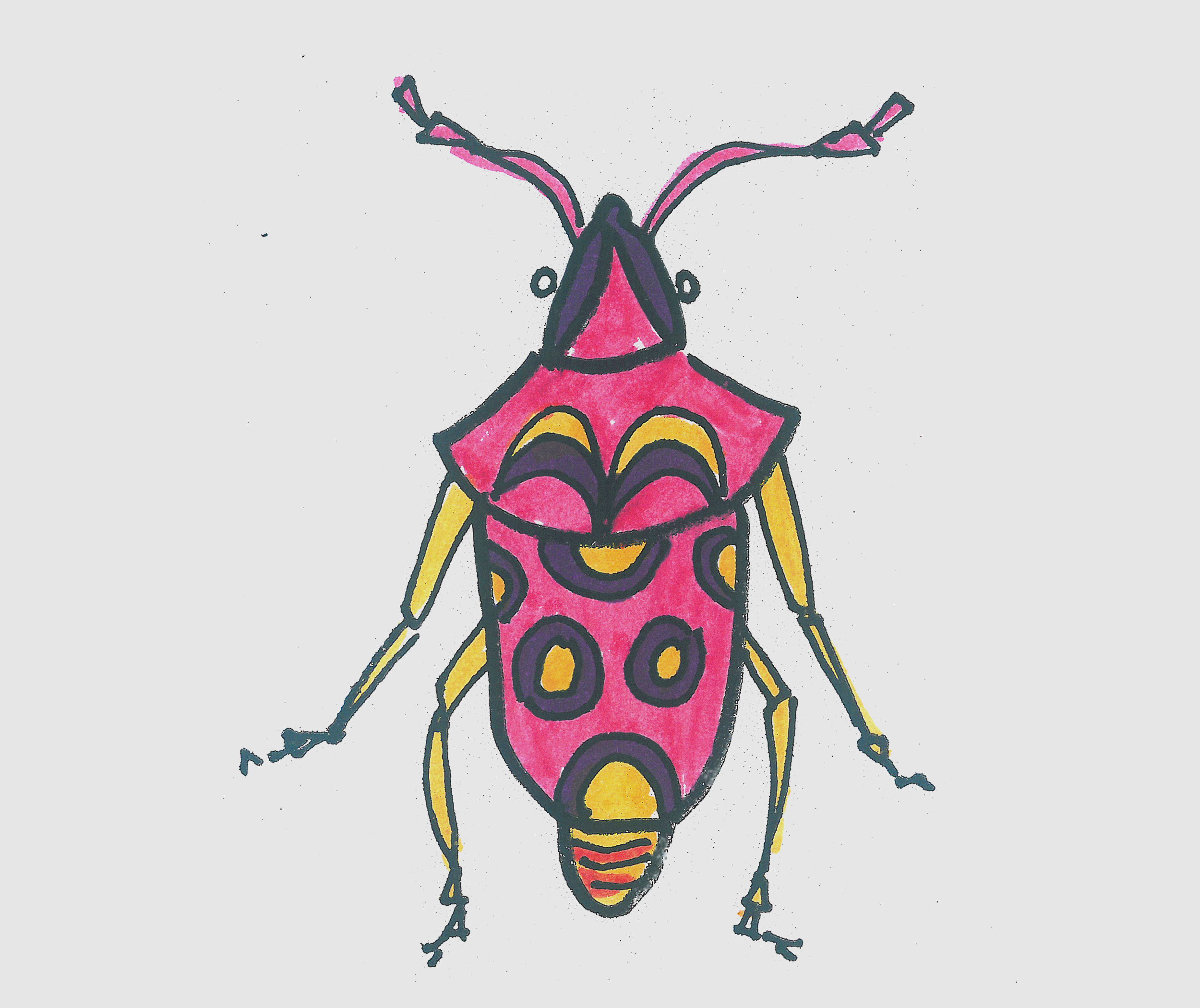 儿童简笔画甲虫怎么画好看 一步一步教可爱甲虫画法