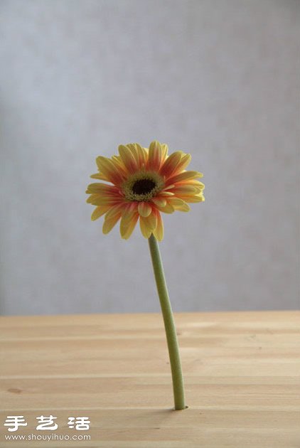 简单玻璃瓶废物利用 创意制作桌面花卉装饰 