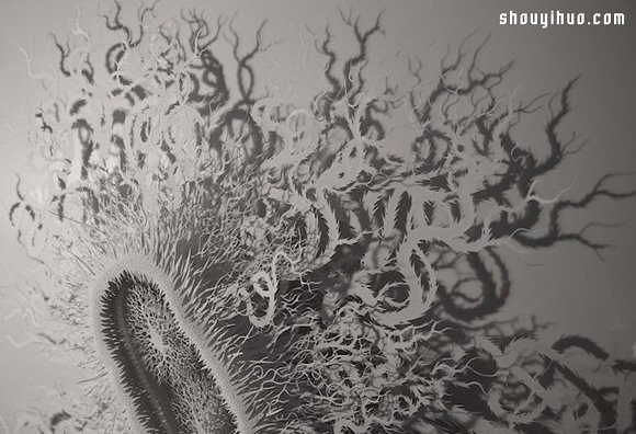 原来细菌也能这么美！超精细微生物纸雕 