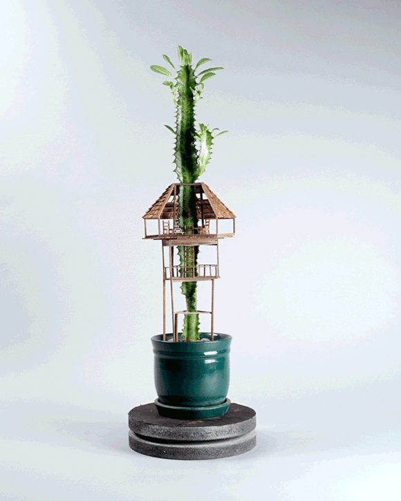 盆栽上DIY精致树屋模型 小人国般的微型建筑 