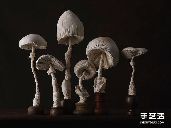 女工高手“雀鸟先生” 缝纫出森林系真菌布雕 
